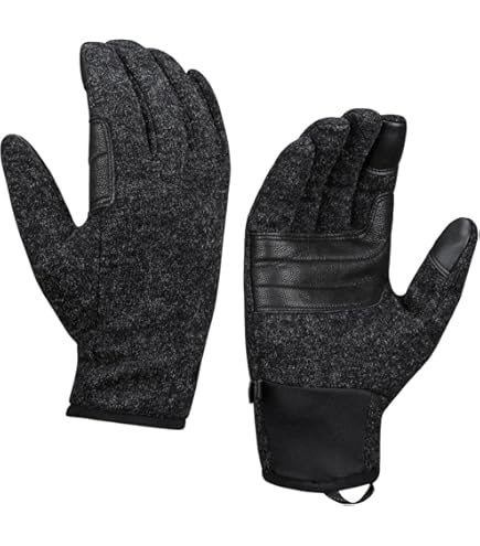 Amazon.co.jp: Mammut Eigerjoch Pro Glove Black 9 : Clothing, Shoes